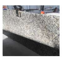 Wholesales price butterfly gold granite slab for counter top